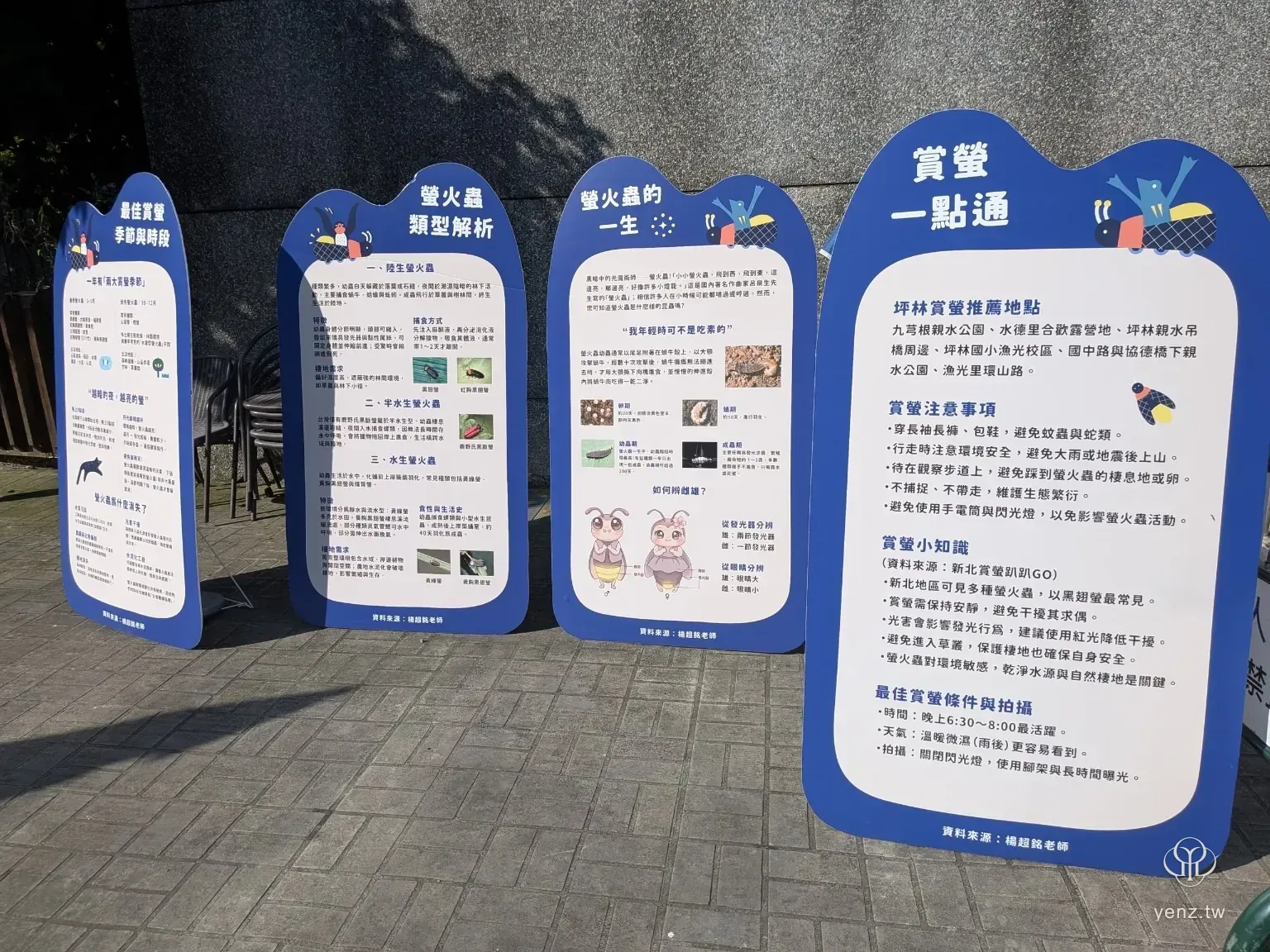 坪林螢光季資訊立牌，介紹賞螢地點、螢火蟲種類與生態知識。