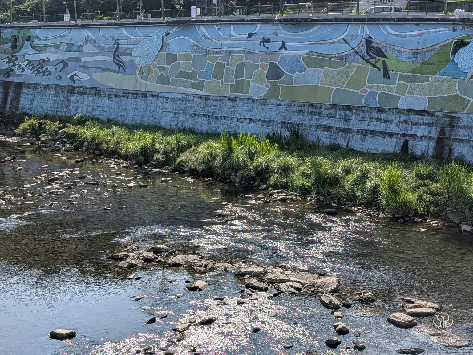 坪林溪岸壁畫描繪水鳥與田地意象。