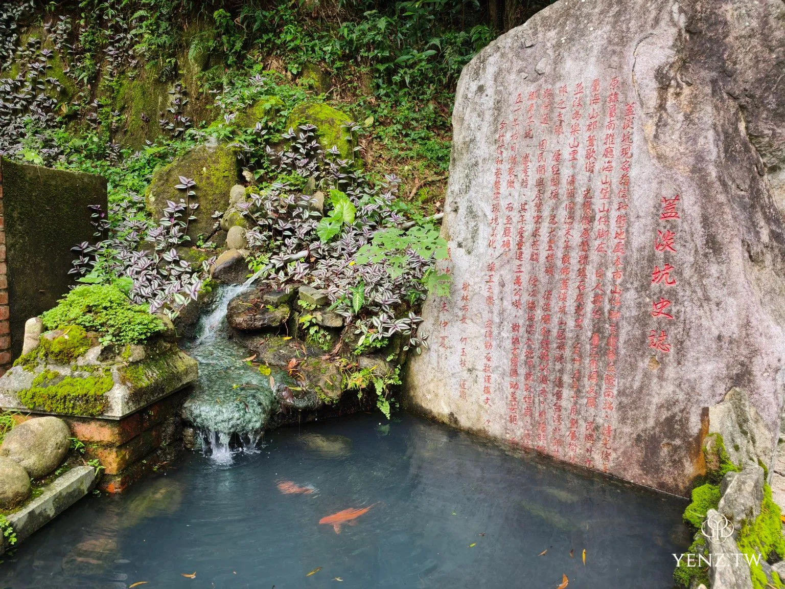 蓋淡坑史誌石碑，旁邊是湧泉與錦鯉水景。