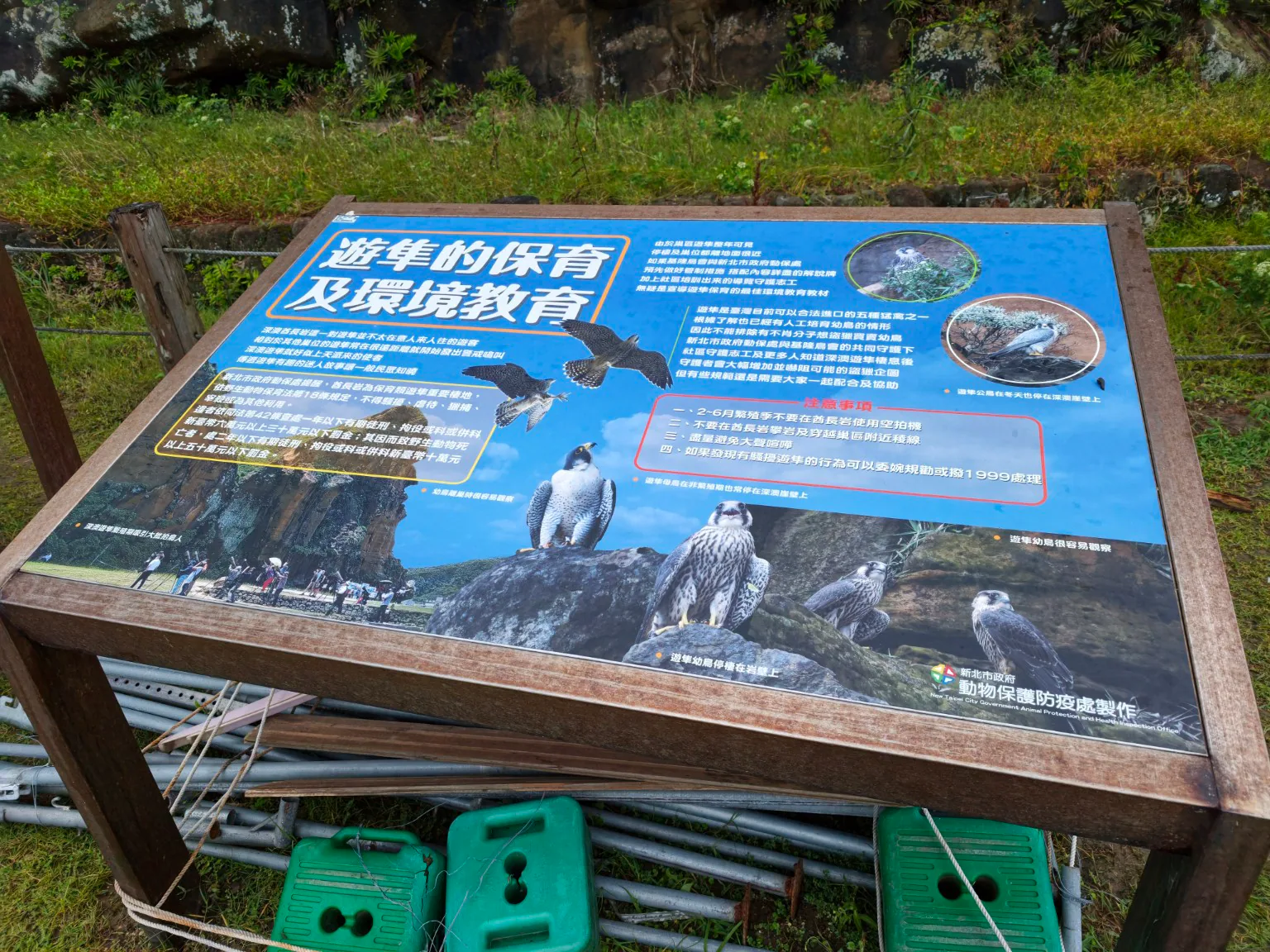 酋長岩旁的遊隼保育及環境教育解說牌。