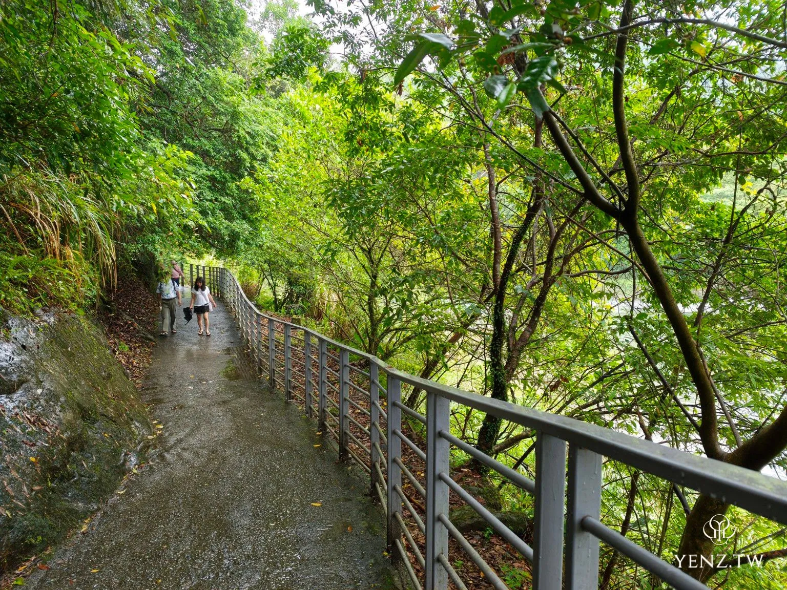 雨後潮濕的林蔭步道，一側是山壁、一側是欄杆與河谷。