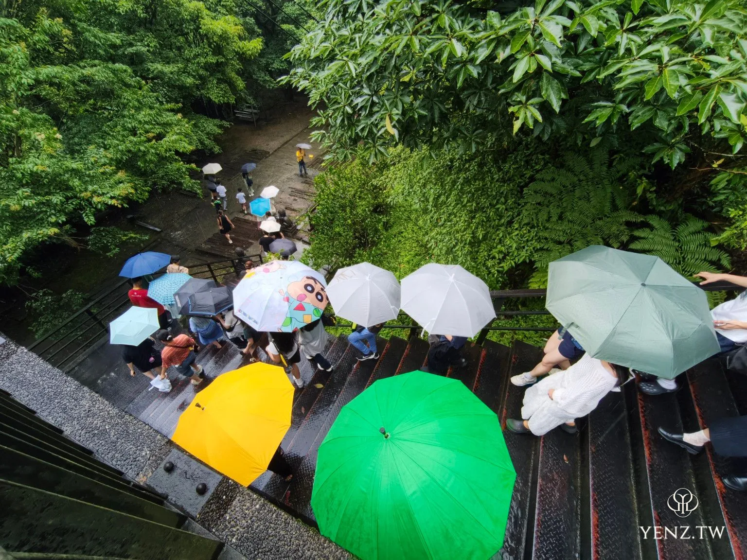 小雨中，階梯上的遊客撐起各色雨傘，在森林間移動。