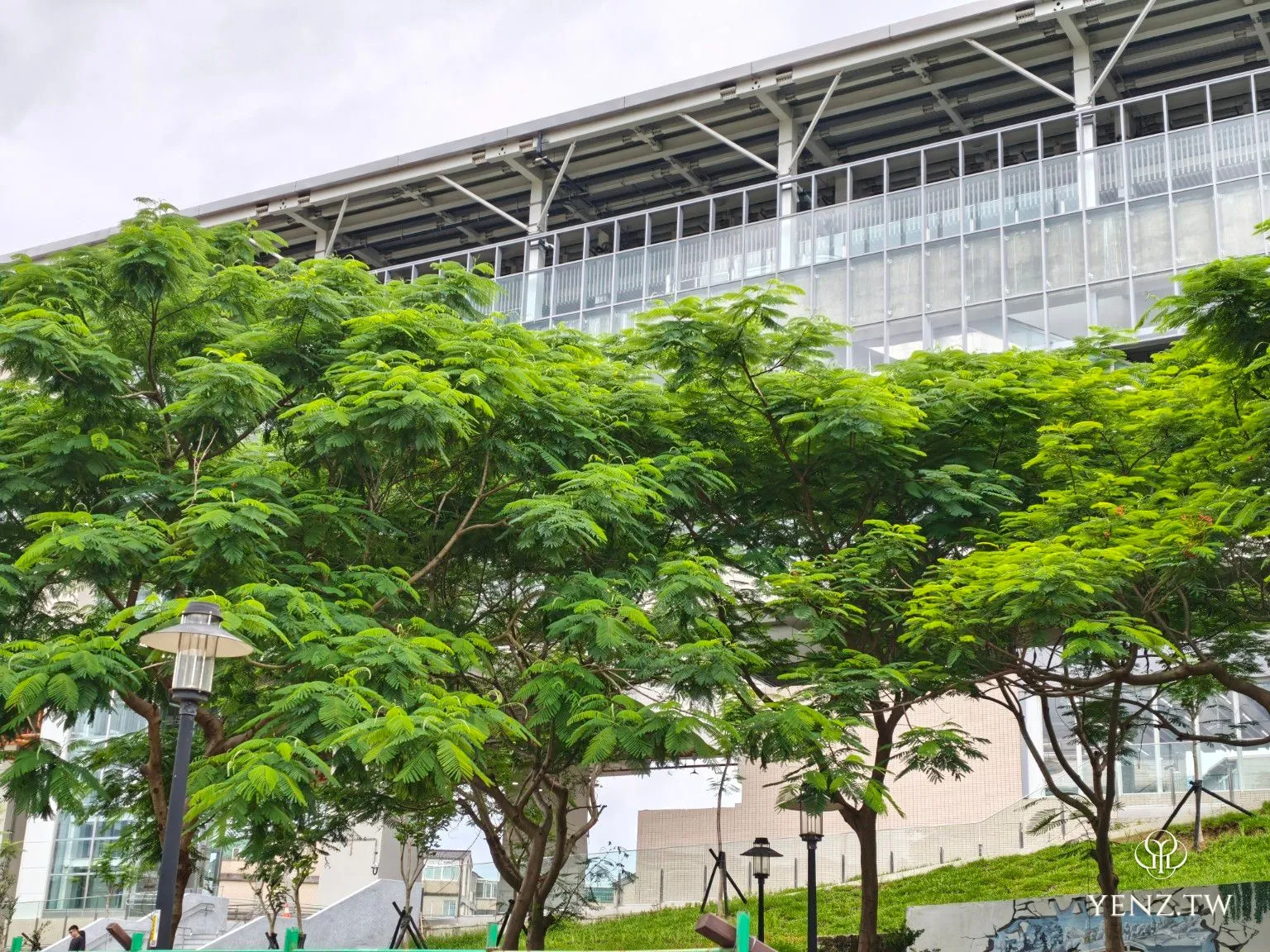 樹冠後方露出的永吉公園站站體。