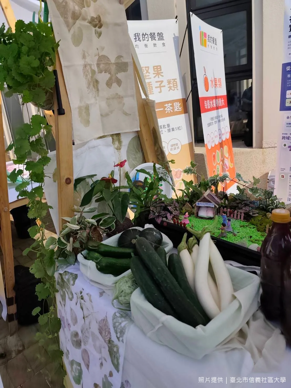 攤位上的療癒森林微景觀模型與植物拓印、友善農耕蔬果。